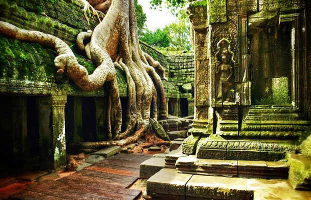 Taprohm