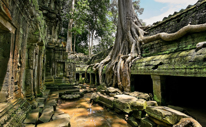Ta Prohm Temple