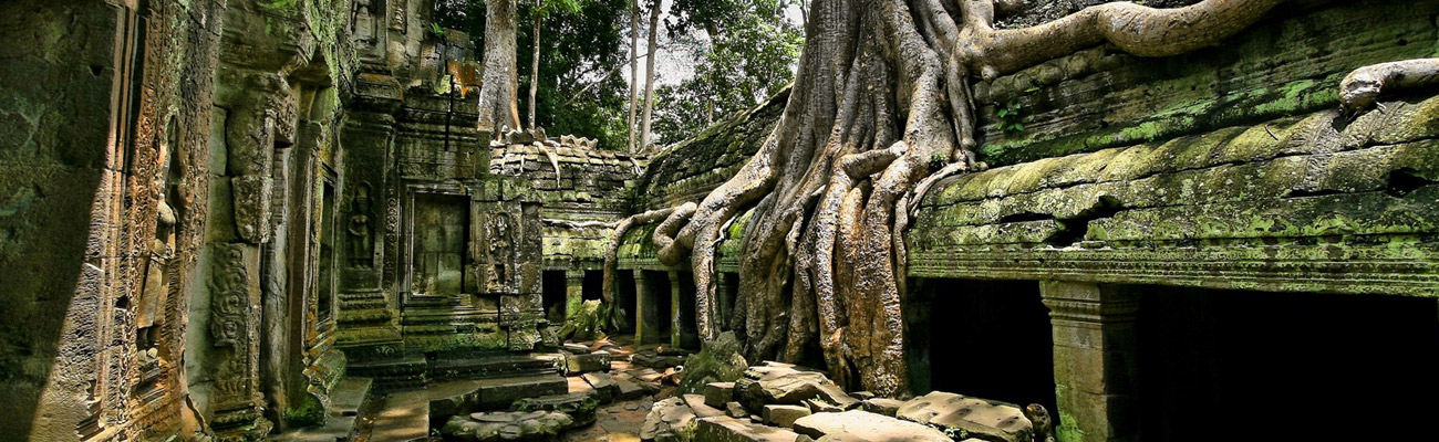 Ta Prohm Temple