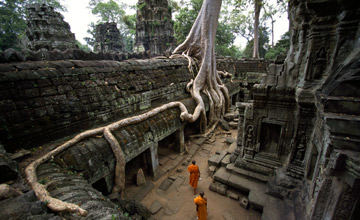 Taprohm Temple