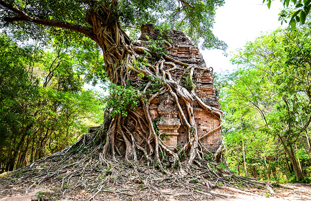 tour-detail.html?name=sambo-prei-kuk-siem-reap-phnom-penh